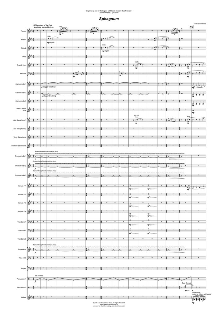 LSM-001-HA_01