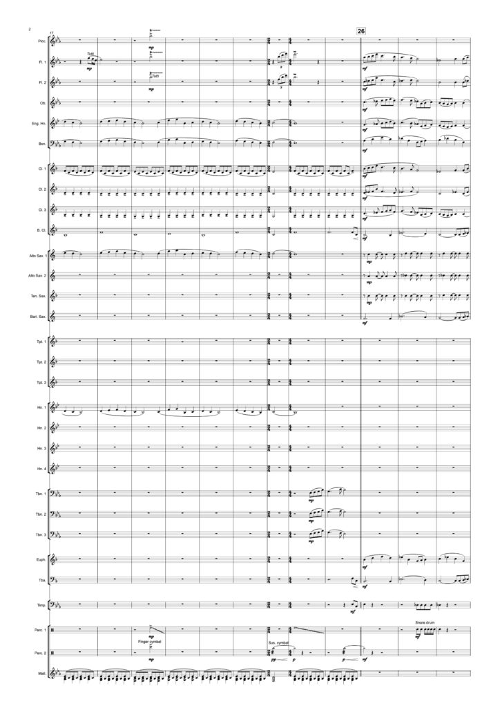 LSM-001-HA_02