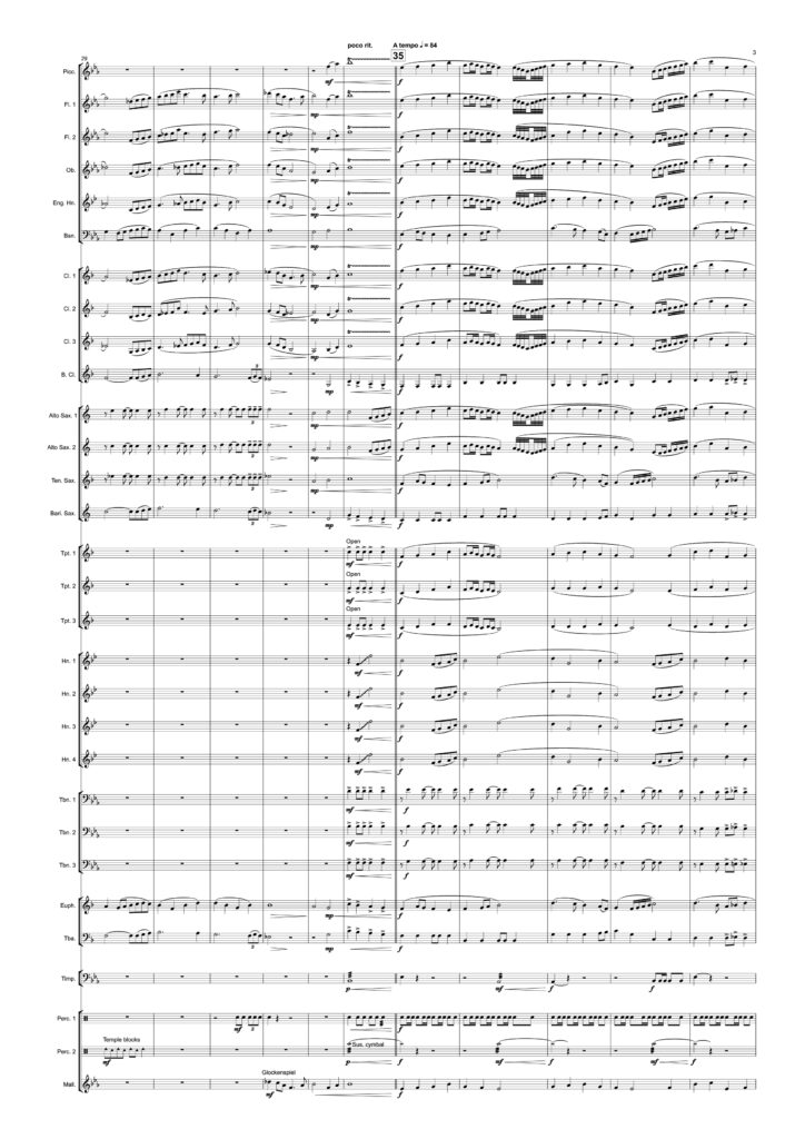 LSM-001-HA_03